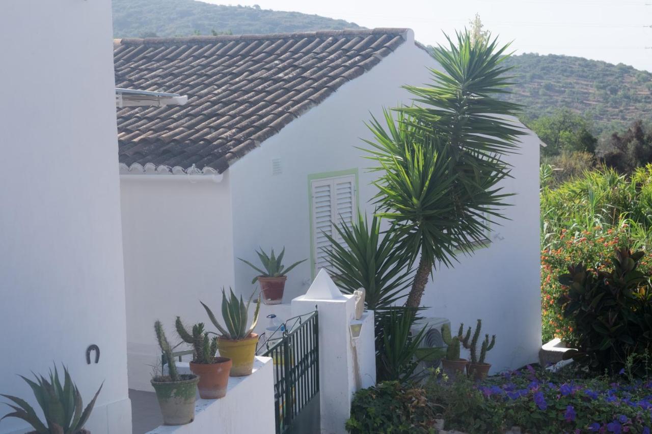 فندق Casa Da Cabeca Azinheiro المظهر الخارجي الصورة