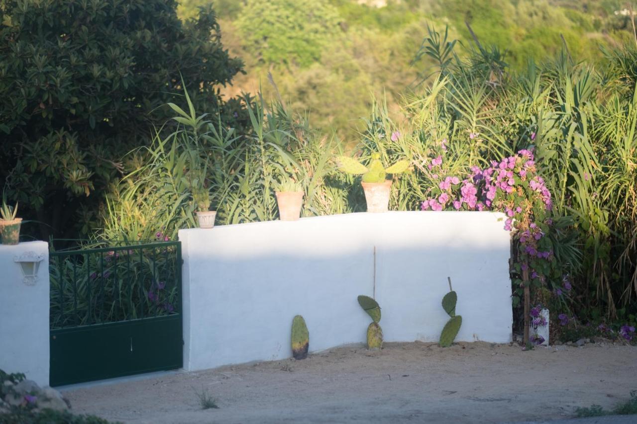 فندق Casa Da Cabeca Azinheiro المظهر الخارجي الصورة