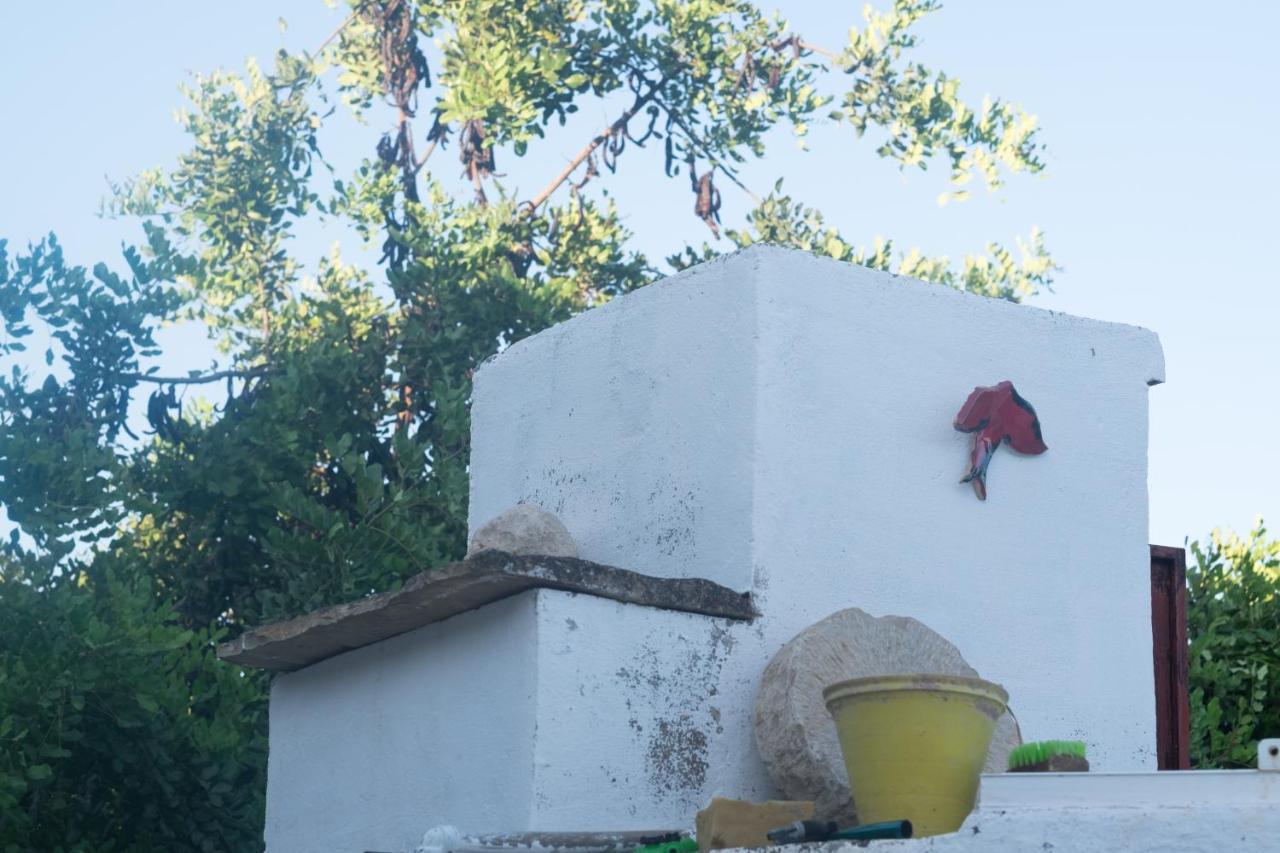 فندق Casa Da Cabeca Azinheiro المظهر الخارجي الصورة